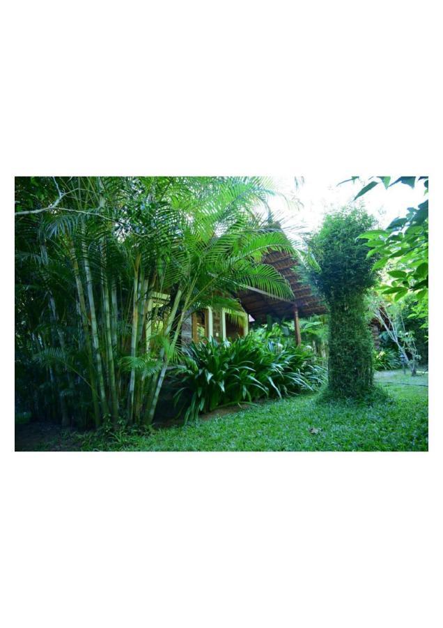 The Horse & Chariot Hotel Madikeri Exterior foto